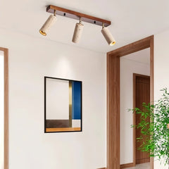 Astrivis Ceiling Light