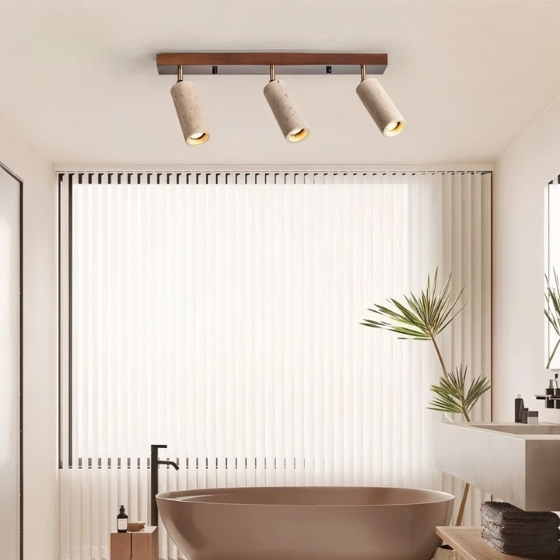 Astrivis Ceiling Light