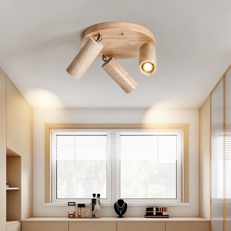 Astrivis Ceiling Light
