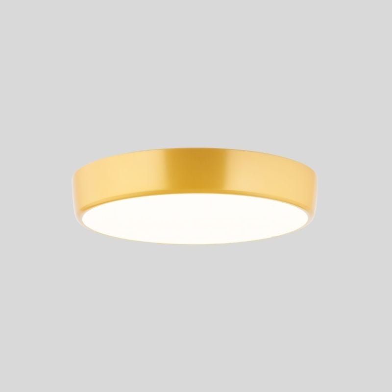 Viyan Ceiling Light