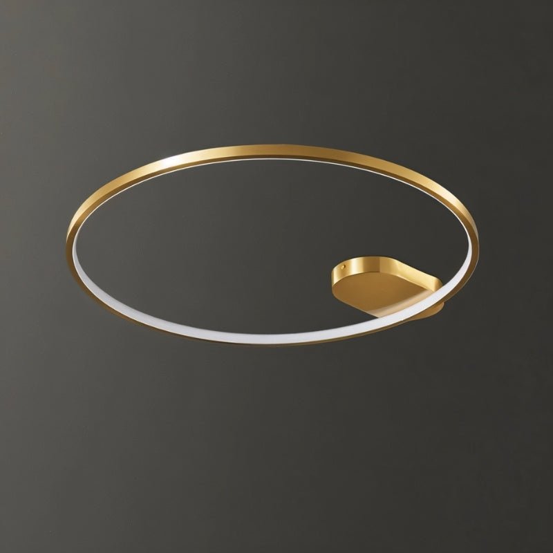 Monel Ceiling Light