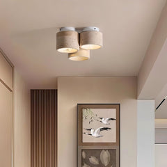 Vikra Ceiling Light