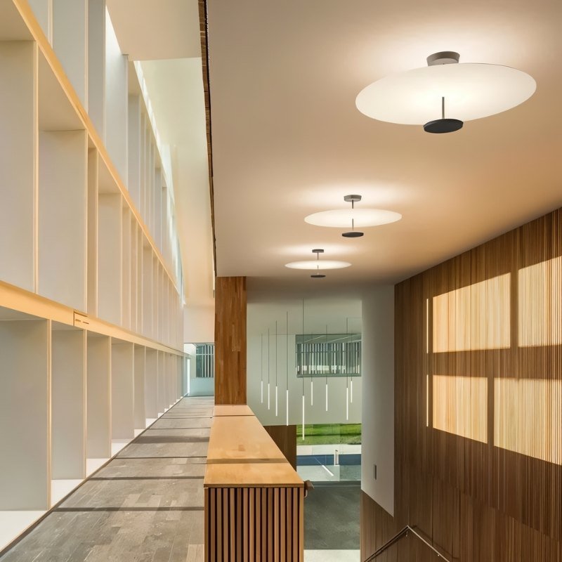 Zyntra Ceiling Light